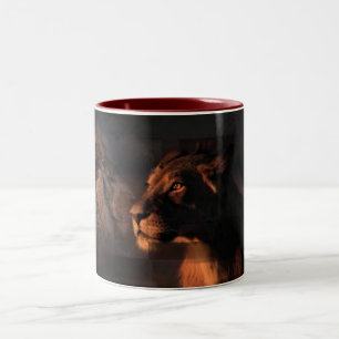 Lions Mug