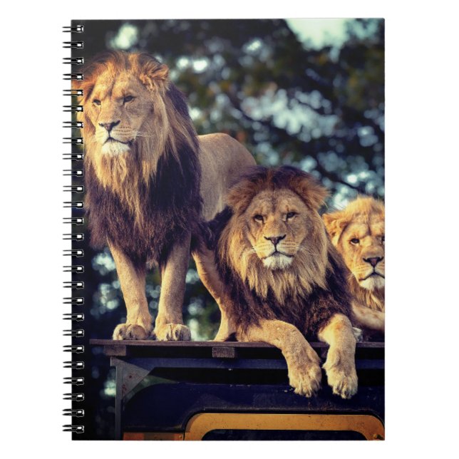 Lions Notebook (Front)