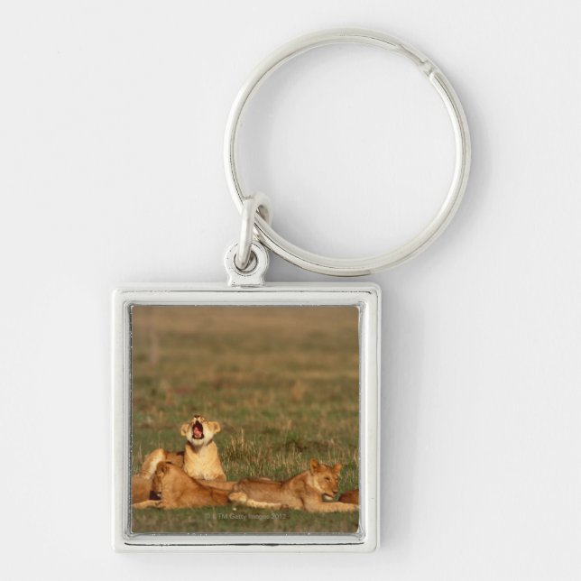 Lions on a savanna keychain (Front)