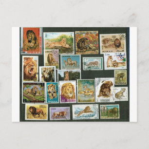 Lions on stamps postcard