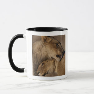 Lions (Panthera leo) pair bonding, Skeleton Mug