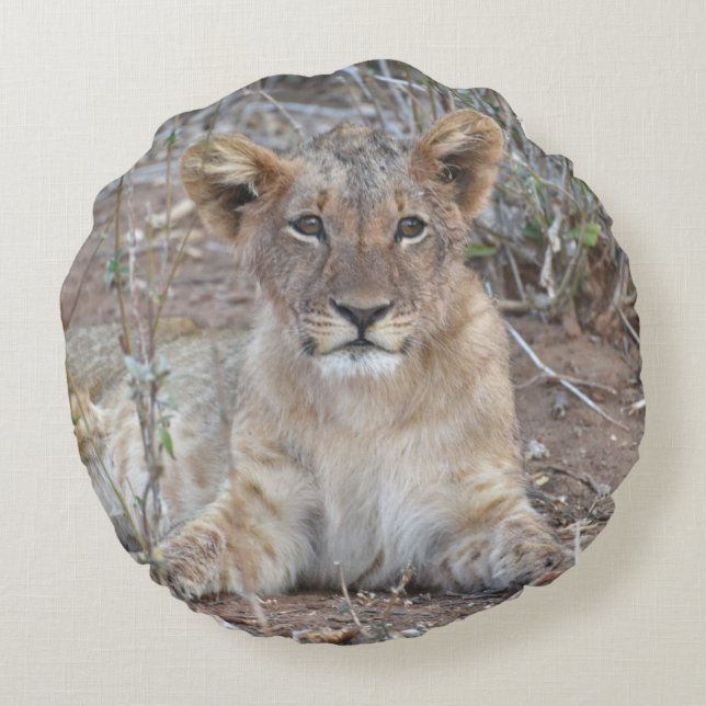 Lions partout Coussin (Dos)