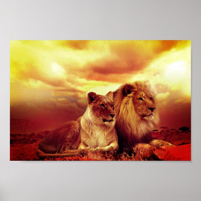 Lions Poster (Front)