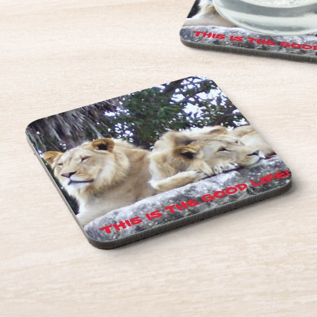 Lions Resting on Rock with Good Life Message Coaster (Left Side)