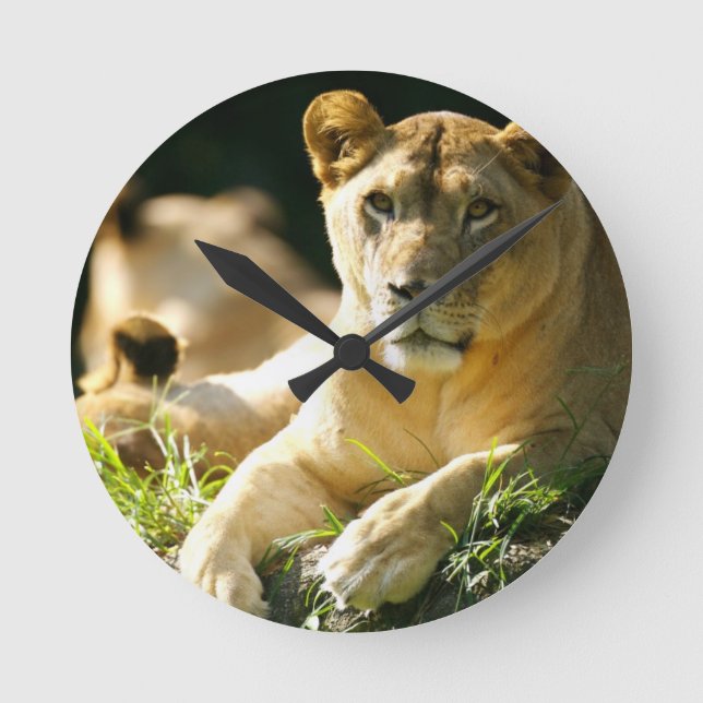 Lions Round Clock (Front)
