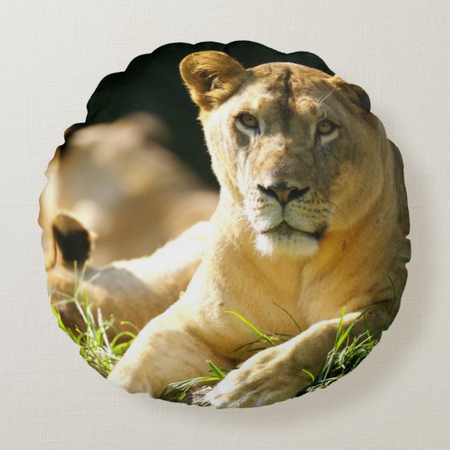 Lions Round Pillow (Front)