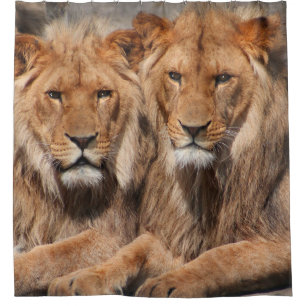 Lions Shower curtain