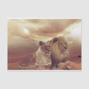 Lions Tissue Paper