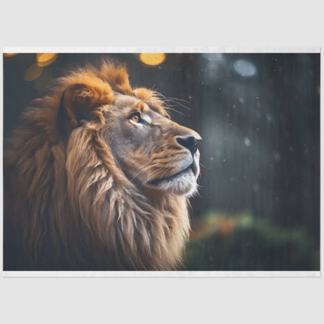 Lion's Tranquillity Tissue Paper (Front)