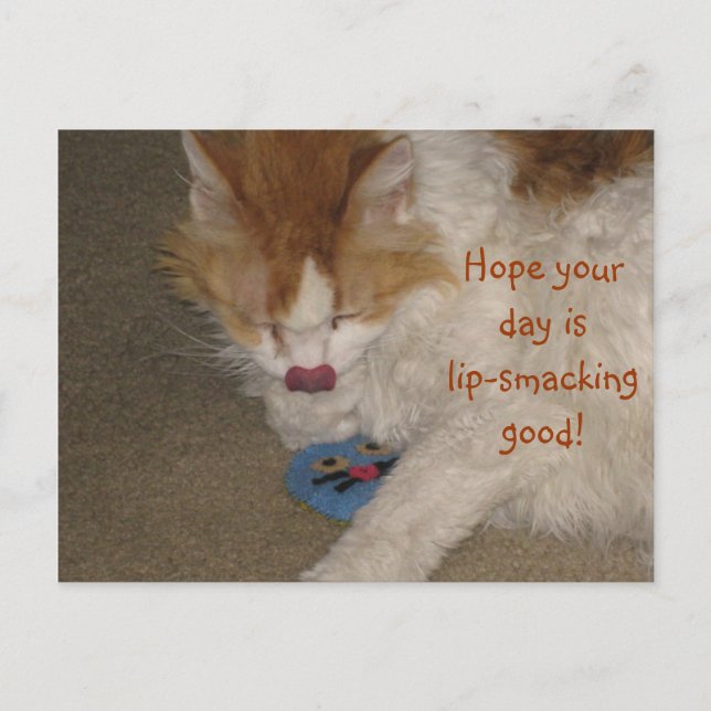 Lip-smacking Good Postcard (Front)