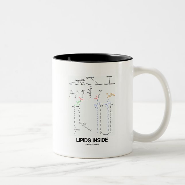 Lipids Inside (Chemical Molecules) Two-Tone Coffee Mug (Right)