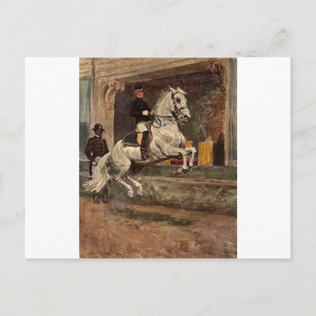 Lipizzan Stallion Dressage Postcard (Front)