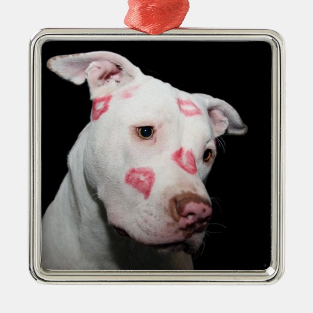 Lipstick Kisses of Love for the Pitbull Dog Metal Ornament (Front)