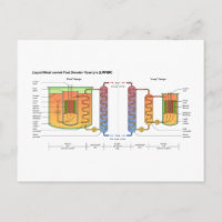 Liquid Metal Fast Breeder Reactor Schematic