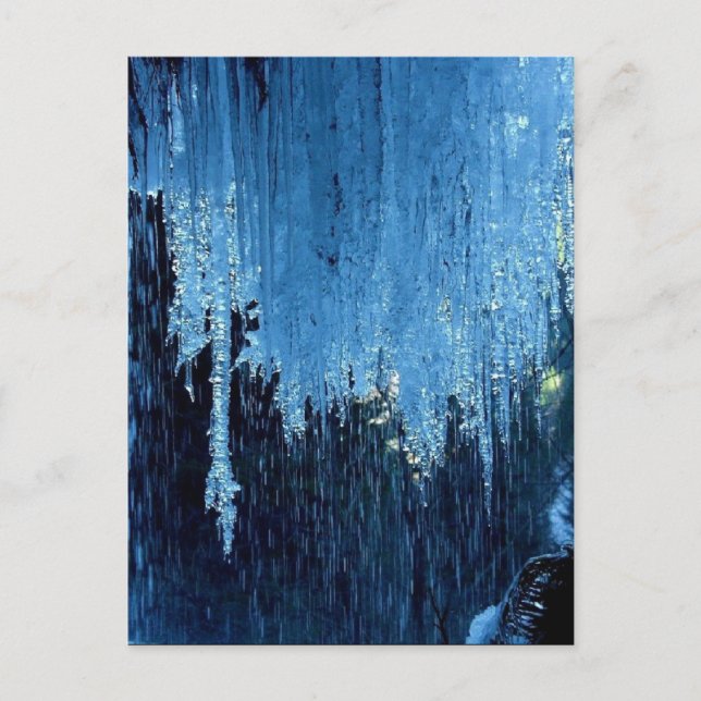 Liquified Postcard (Front)