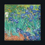 Lirios de Van Gogh Magnet<br><div class="desc">Estos imanes son ventanas de colour para tu refrigerador. Son de 2" de largo x 2" de ancho, están impresos sobre papel 100% reciclado, cubierto con Mylar resistente a los rasguños y a los rayos UV. En general, a Van Gogh se le conoce por sus girasoles y sus amarillos. Aquí...</div>