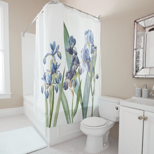 L'iris bleu botanique fleurit le rideau en douche (En situation)
