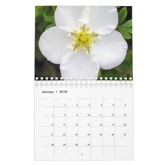 L'Irlande dans le calendrier de fleur