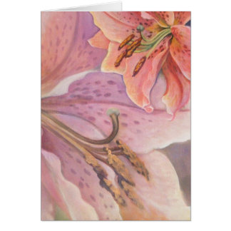 Lis de curieux d'étoile