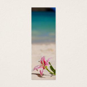 Lis de plage de signet
