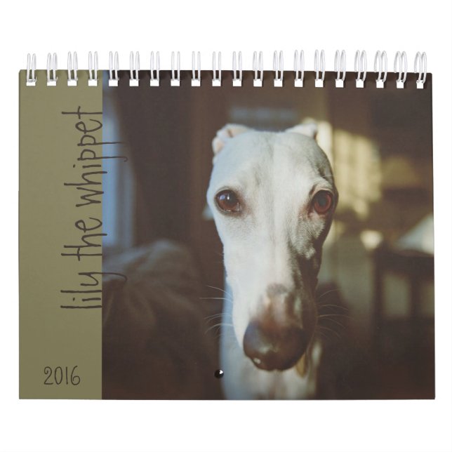 Lis le calendrier 2016 de whippet (Protection)