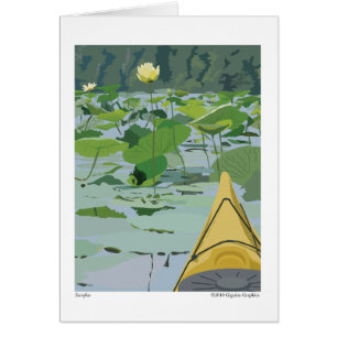 Lis sur le sassafras