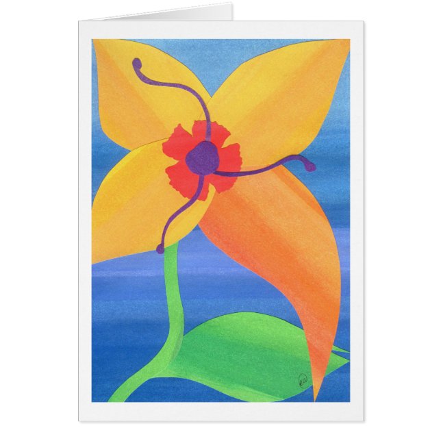 Lis tigré d'or (Devant)