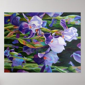 Lisa's Iris Garden Poster