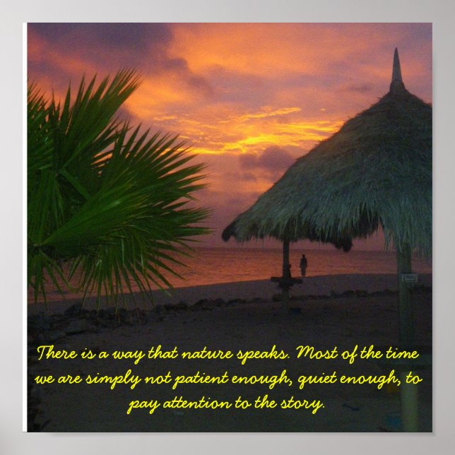 Listen to Nature Poster (Front)