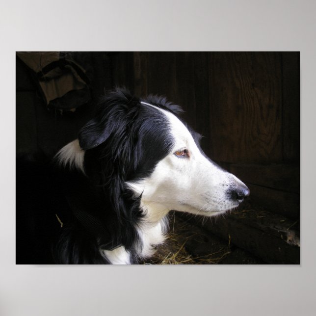 "Listening" Poster (Front)