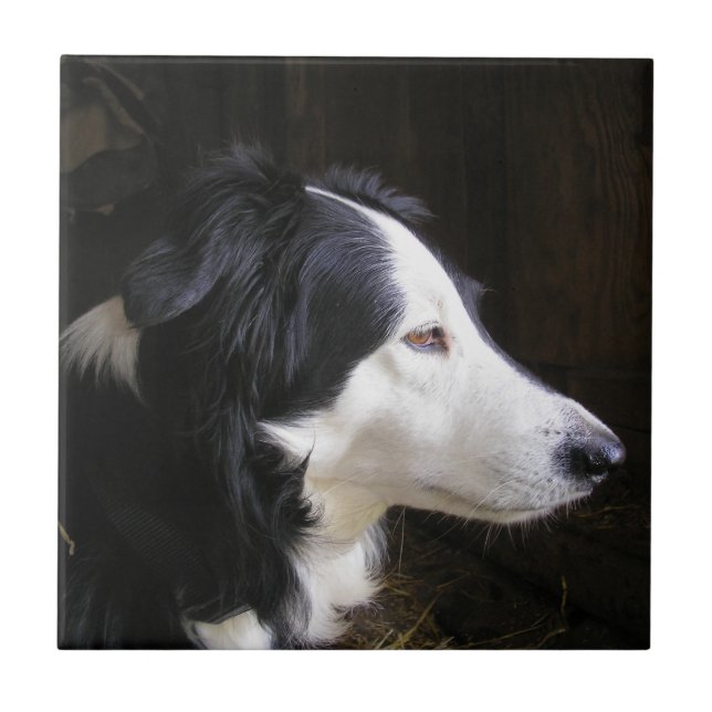 Listening Tile (Front)