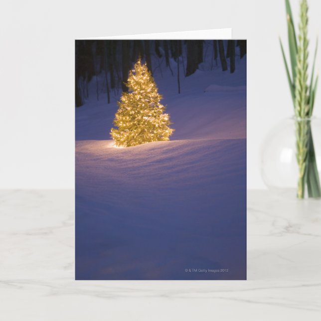 Lit Christmas tree outside Holiday Card (Front)
