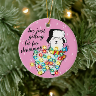 Lit Llama Ornament - Festive & Customizable!