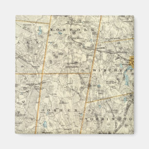 Litchfield Co N Magnet