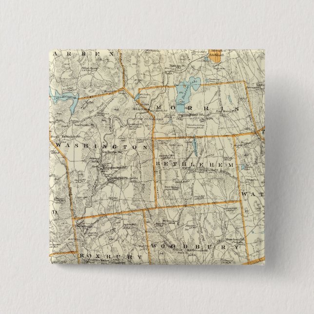 Litchfield Co S 2 Inch Square Button (Front)
