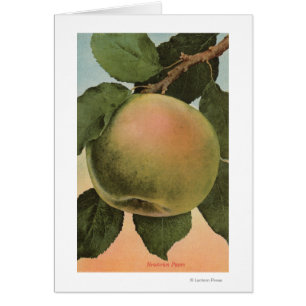 Lithographie de Chromo de fruit de Newtown Pippen