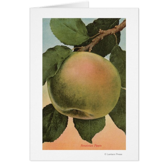 Lithographie de chromo de fruits de Newtown Pippen (Devant)