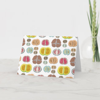 Lithops - transparent card