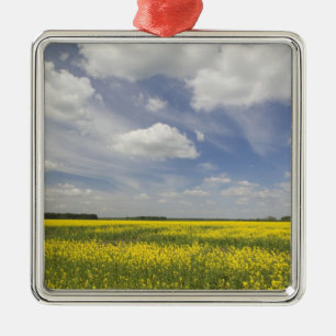 Lithuania, Central Lithuania, Joniskis, field of Metal Ornament