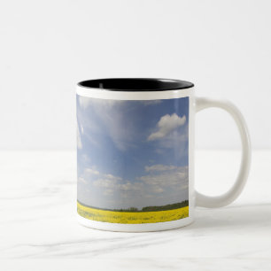 Lithuania, Central Lithuania, Joniskis, field of Two-Tone Coffee Mug