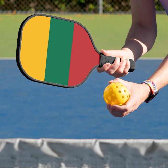 Lithuania flag pickleball paddle (Insitu)