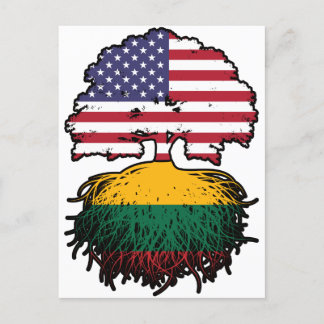 Lithuania Lithuanian American USA United States Postcard
