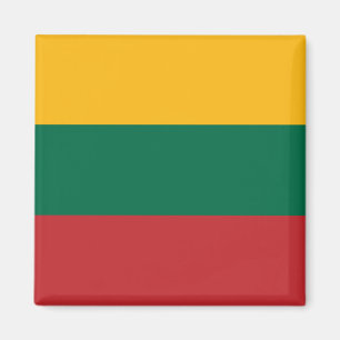Lithuanian Flag Magnet