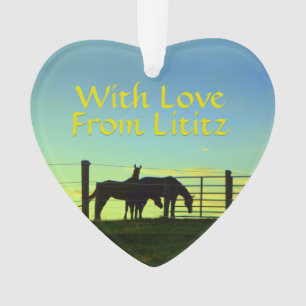 Lititz Ornament! Farm Life! Personalize on Back! Ornament