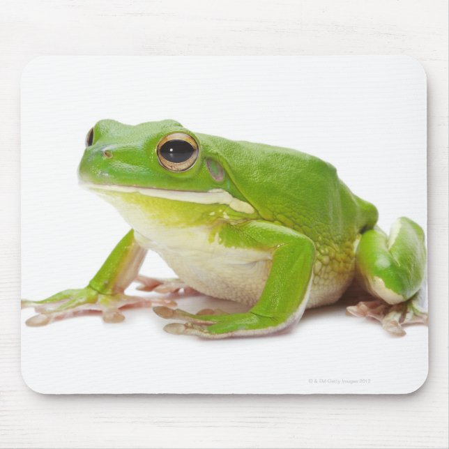 Litora Infrafrenata, Frog Mouse Pad (Front)
