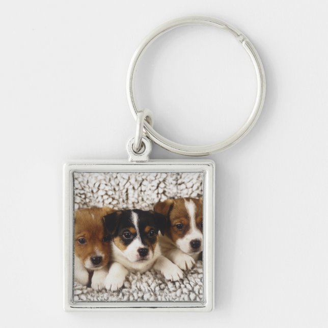 Litter of puppies keychain (Front)