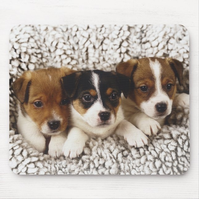 Litter of puppies mouse pad (Front)