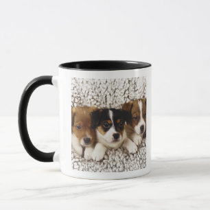 Litter of puppies mug