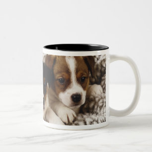 Litter of puppies Two-Tone coffee mug