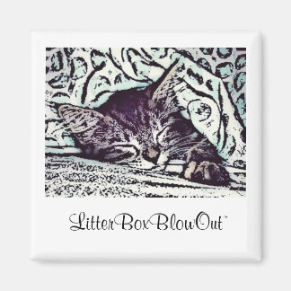 LitterBoxBlowOut Magnet